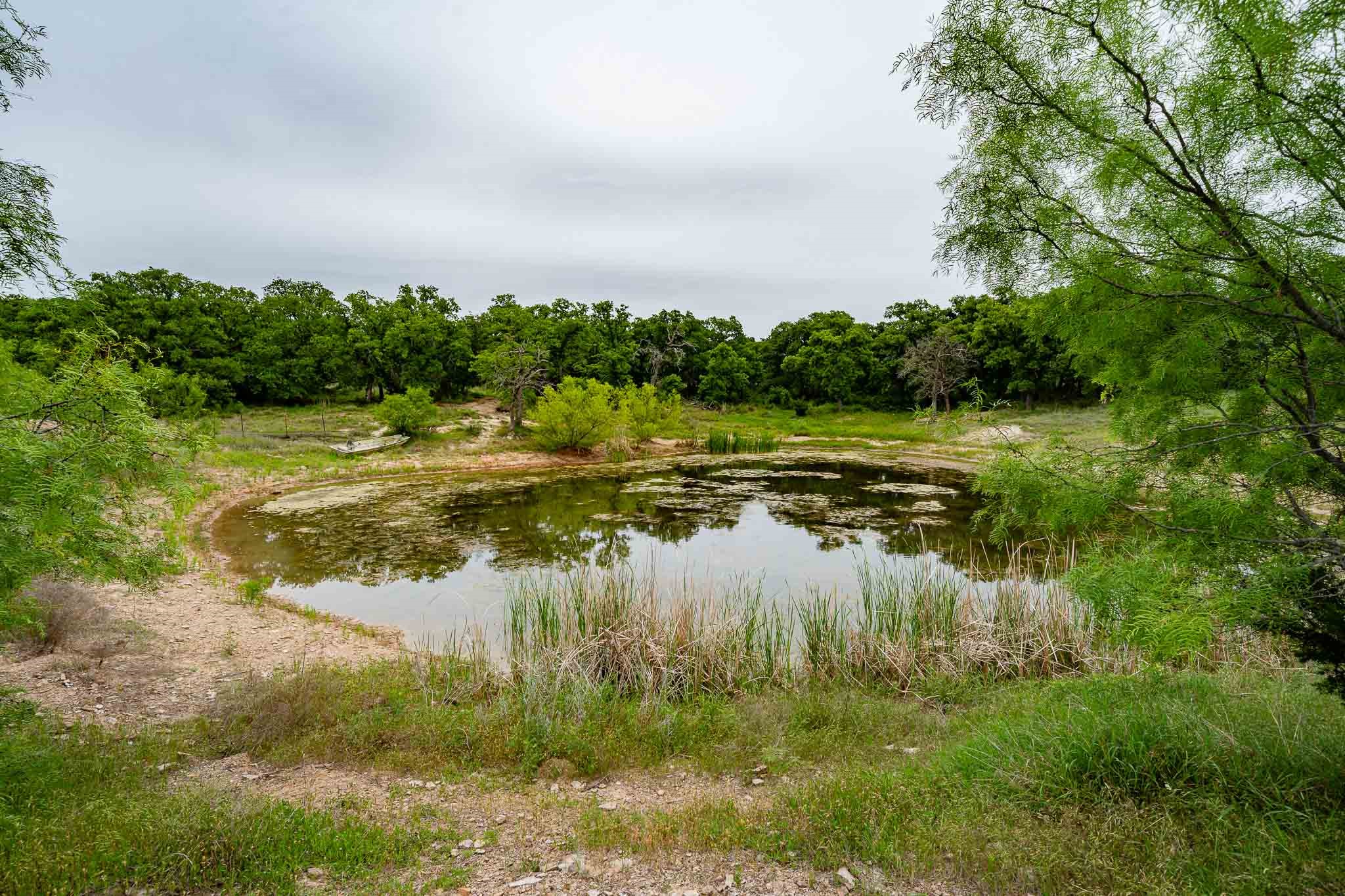 Tbd Fm 880 S Cross Plains TX 76443