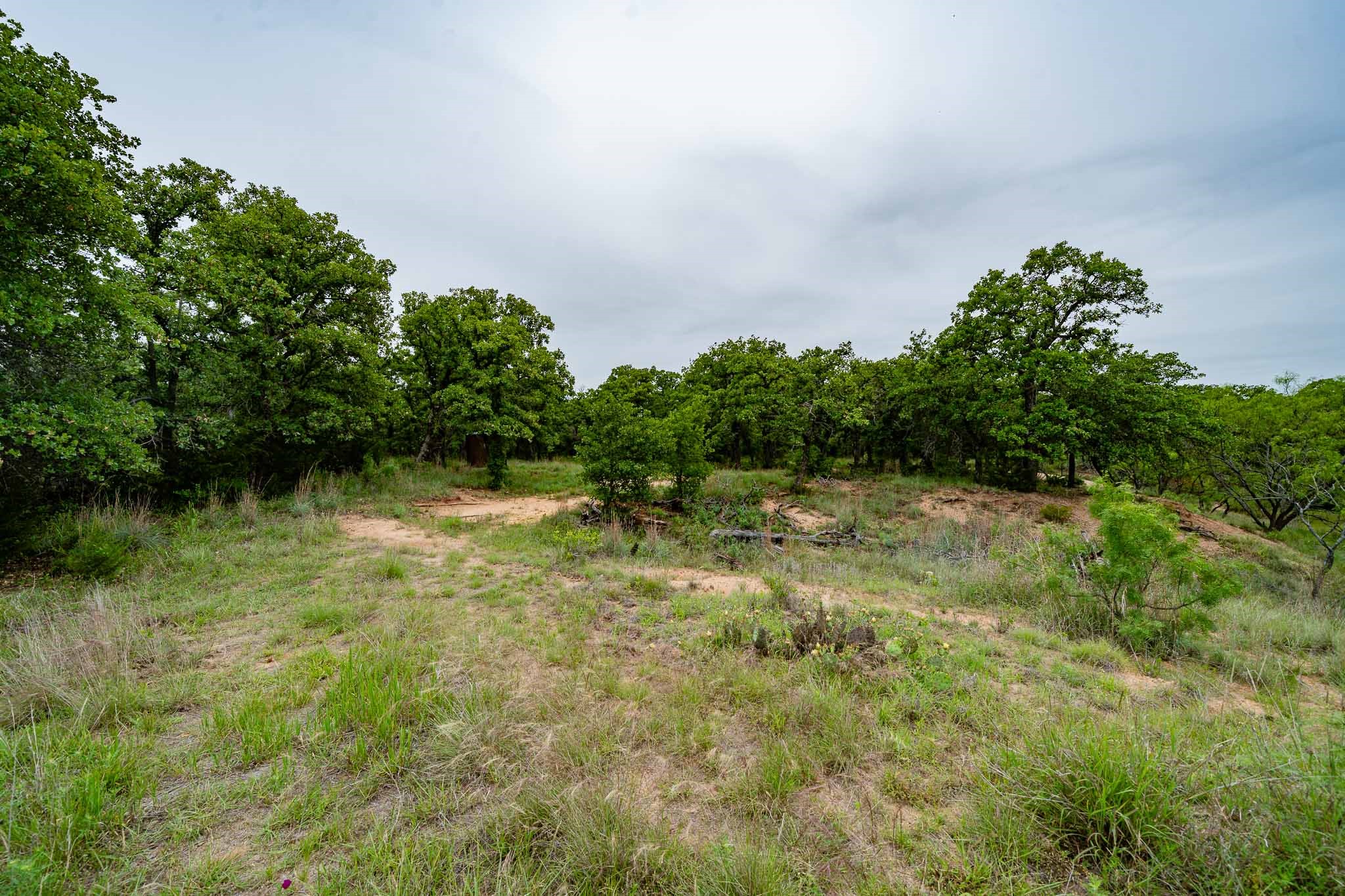 Tbd Fm 880 S Cross Plains TX 76443