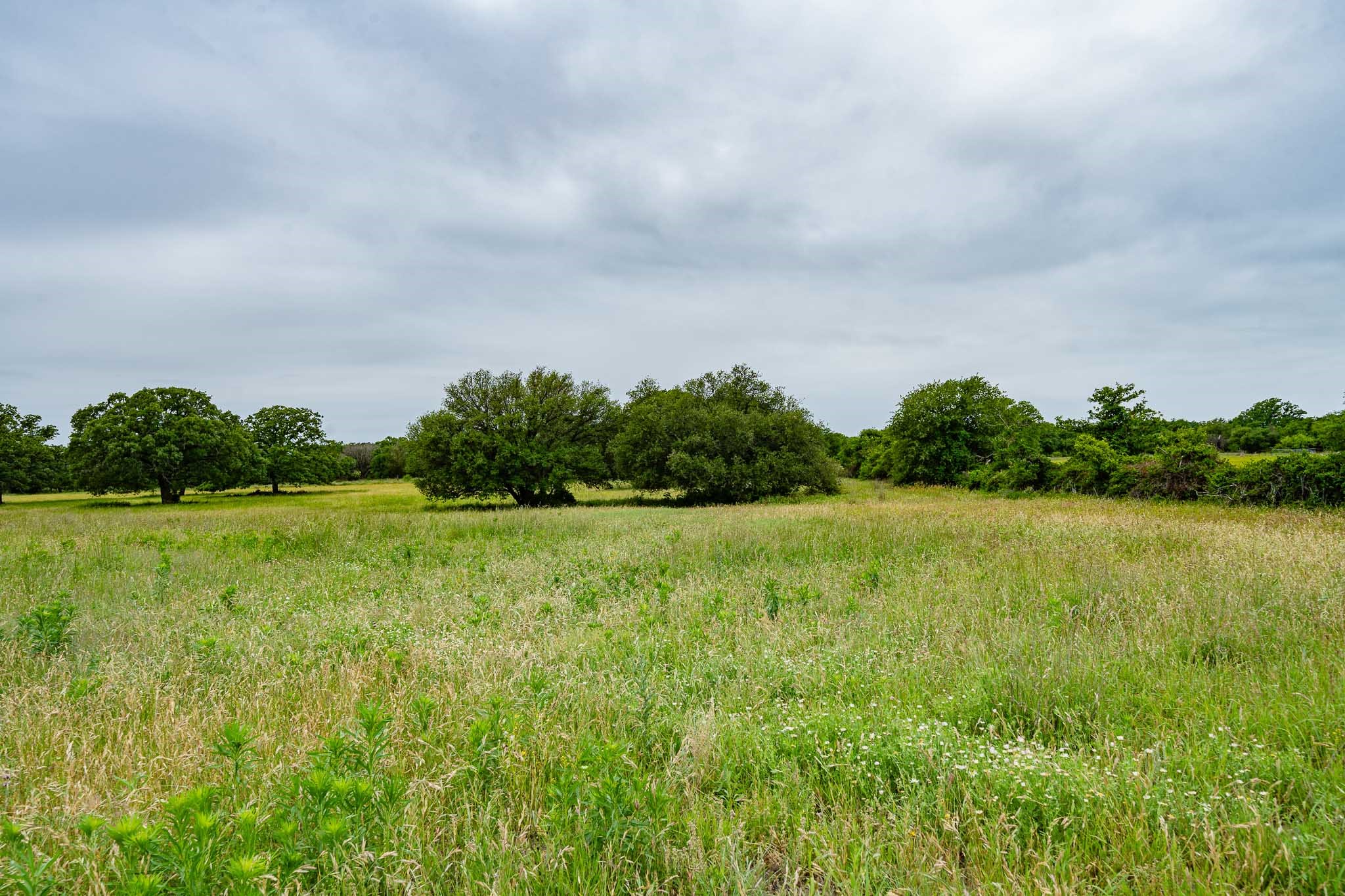 Tbd Fm 880 S Cross Plains TX 76443