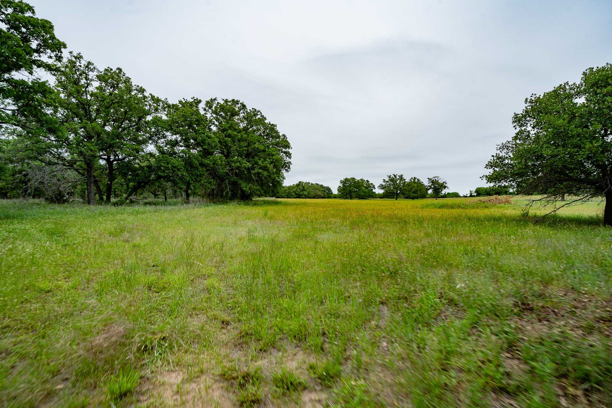 Tbd Fm 880 S Cross Plains TX 76443