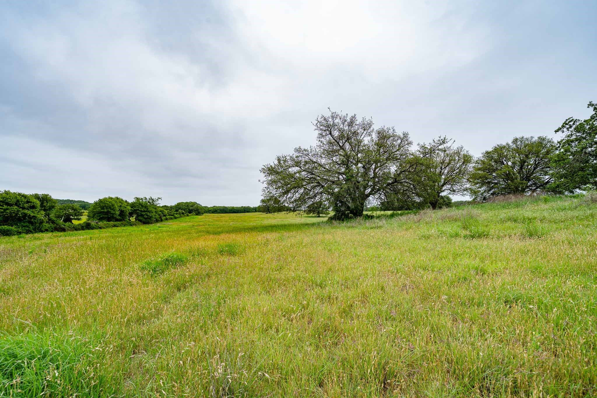Tbd Fm 880 S Cross Plains TX 76443