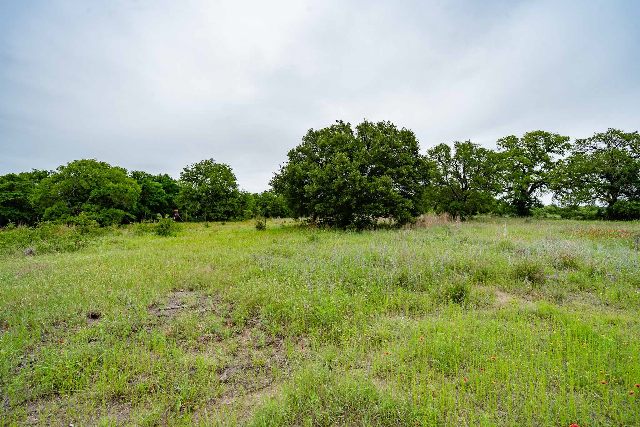 Tbd Fm 880 S Cross Plains TX 76443