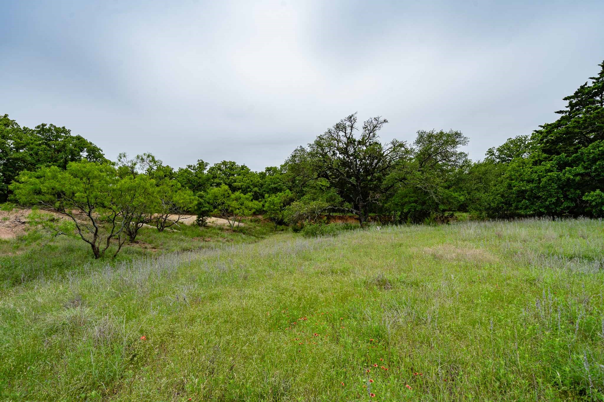 Tbd Fm 880 S Cross Plains TX 76443