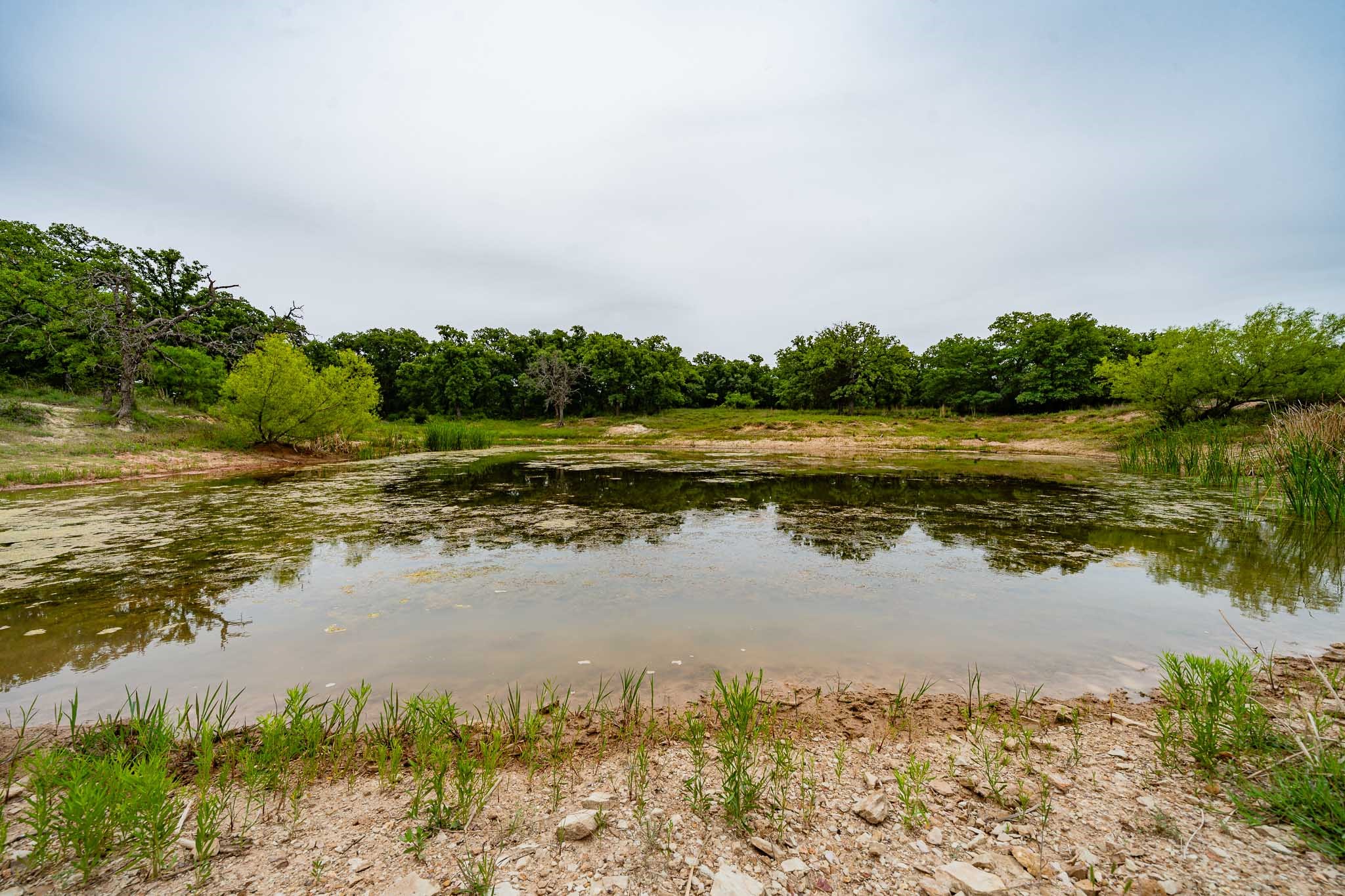 Tbd Fm 880 S Cross Plains TX 76443