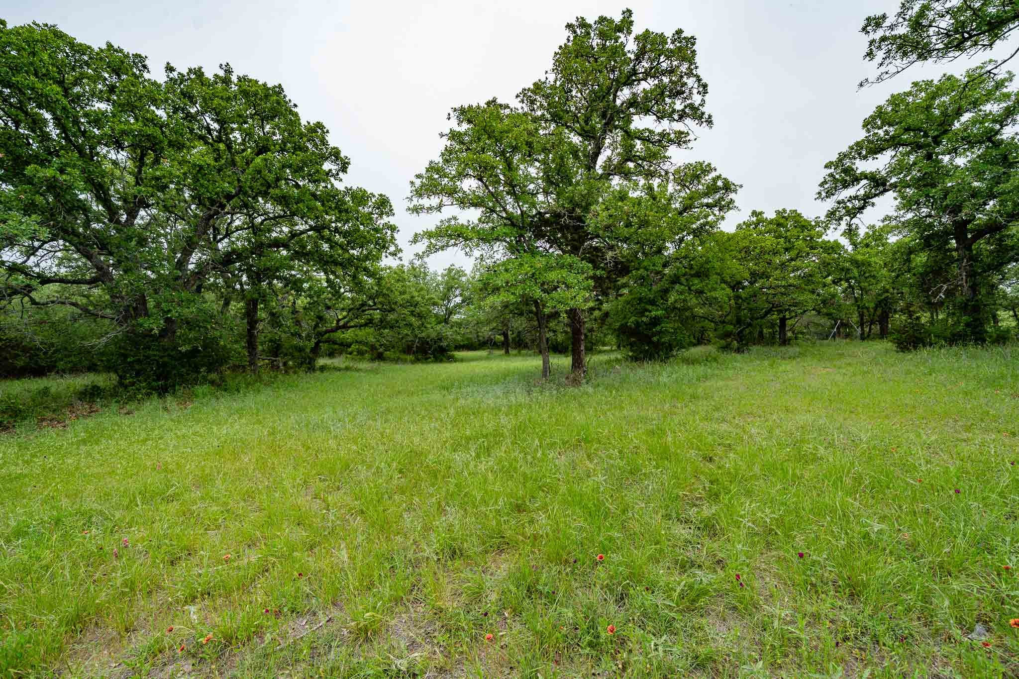 Tbd Fm 880 S Cross Plains TX 76443