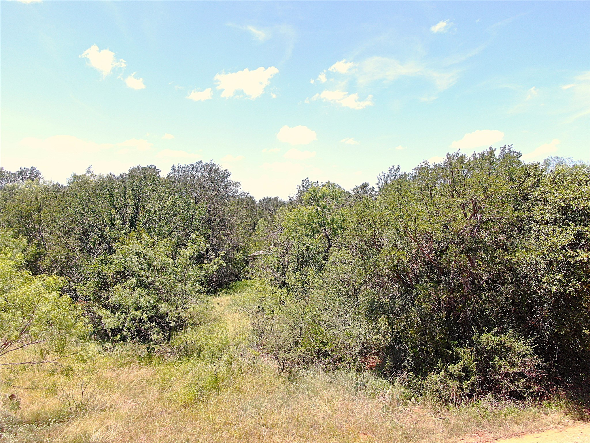 1921 Fm 2126 Early TX 76802
