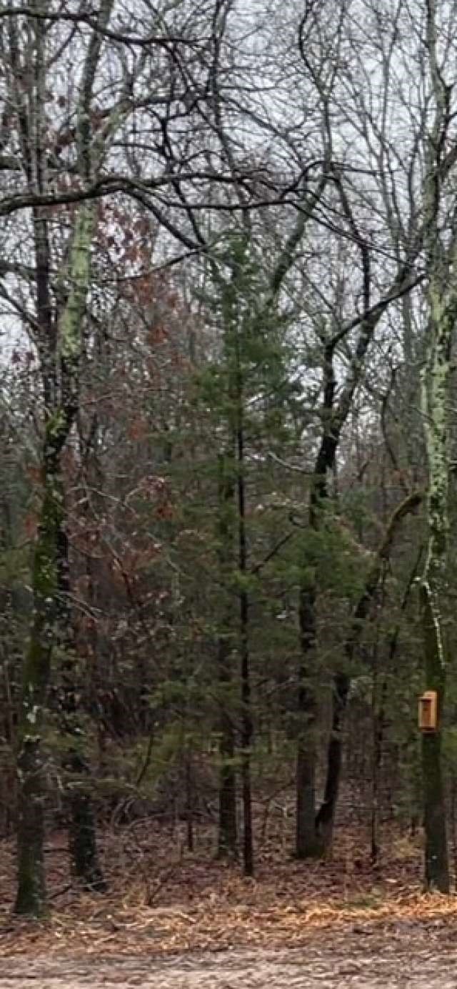 1291 Rs Cr 1150 Emory TX 75440
