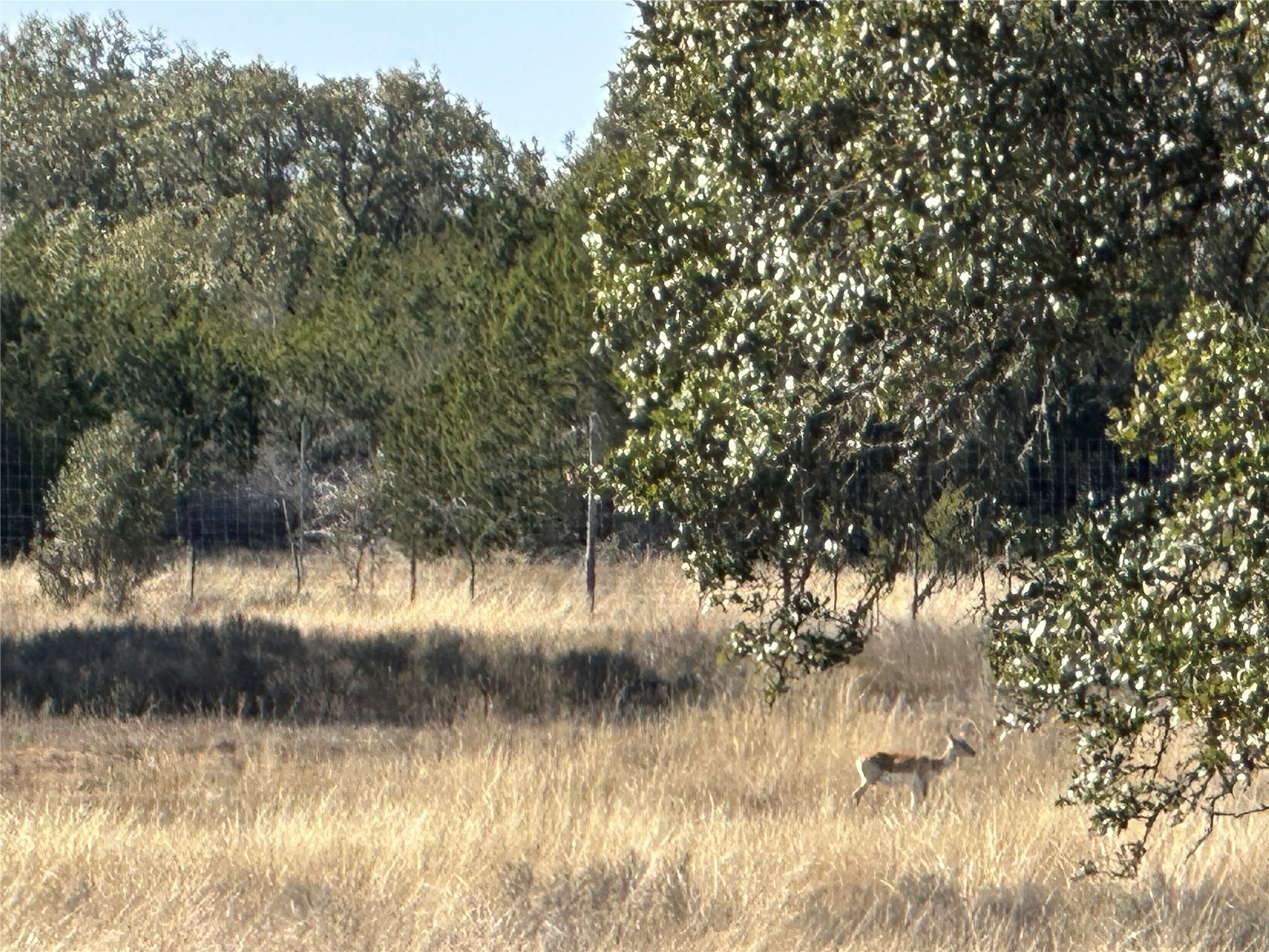 Lot 186 Blackbuck Ridge Drive Lampasas TX 76550