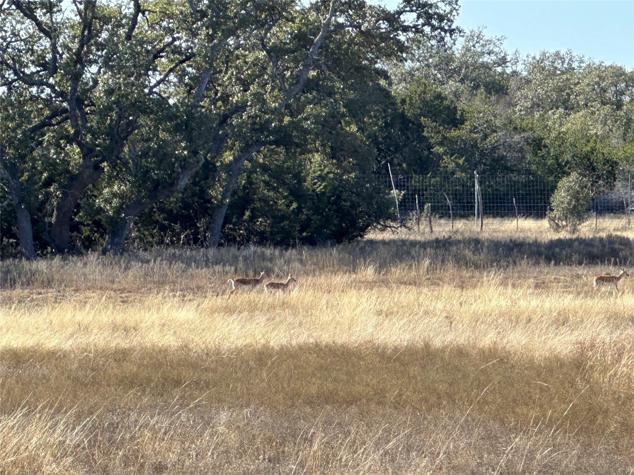 Lot 186 Blackbuck Ridge Drive Lampasas TX 76550