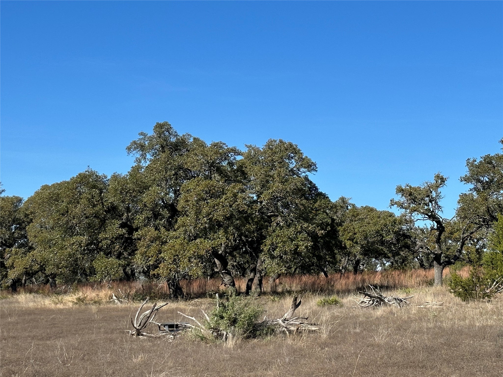 Lot 186 Blackbuck Ridge Drive Lampasas TX 76550