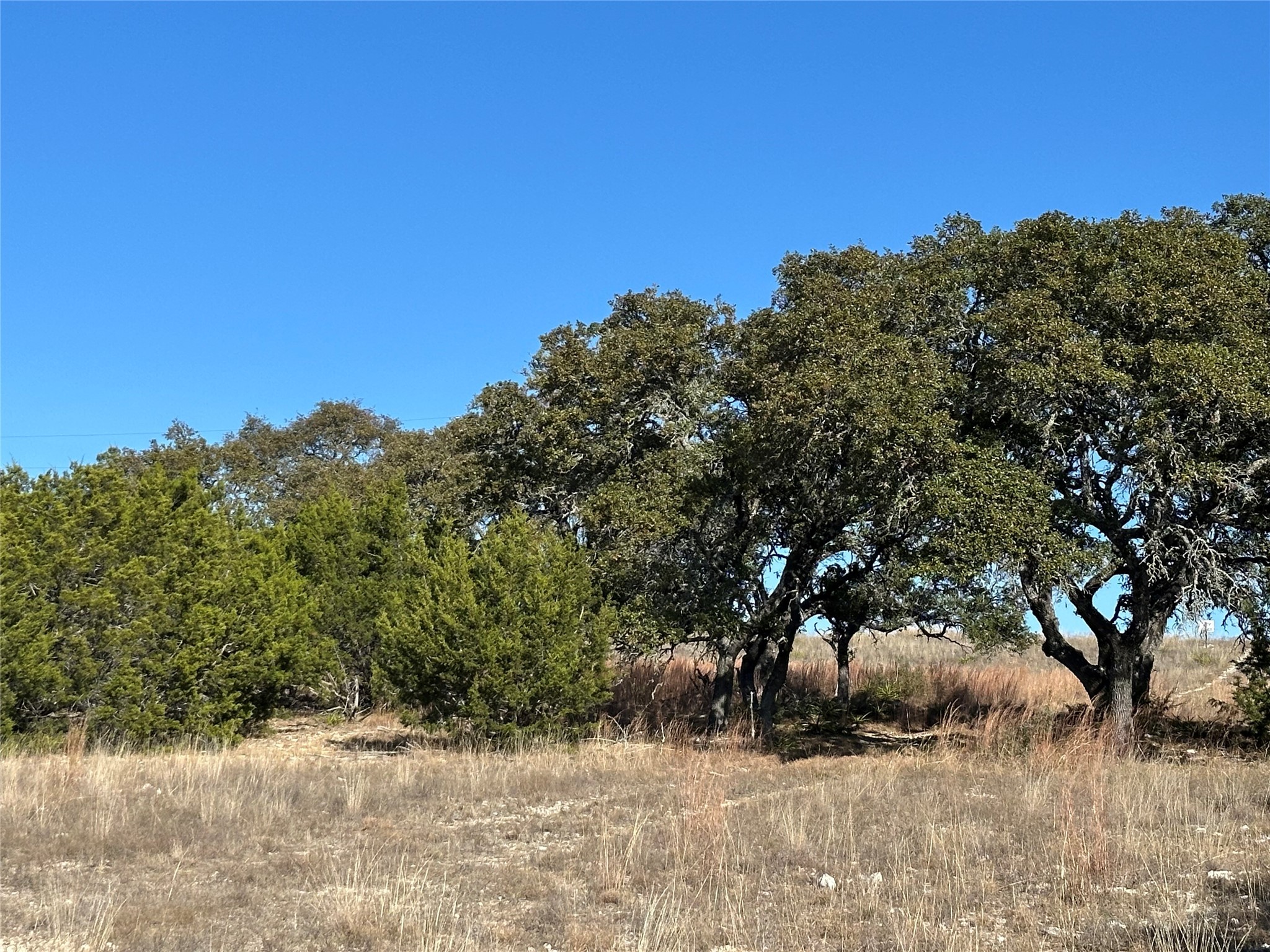 Lot 186 Blackbuck Ridge Drive Lampasas TX 76550