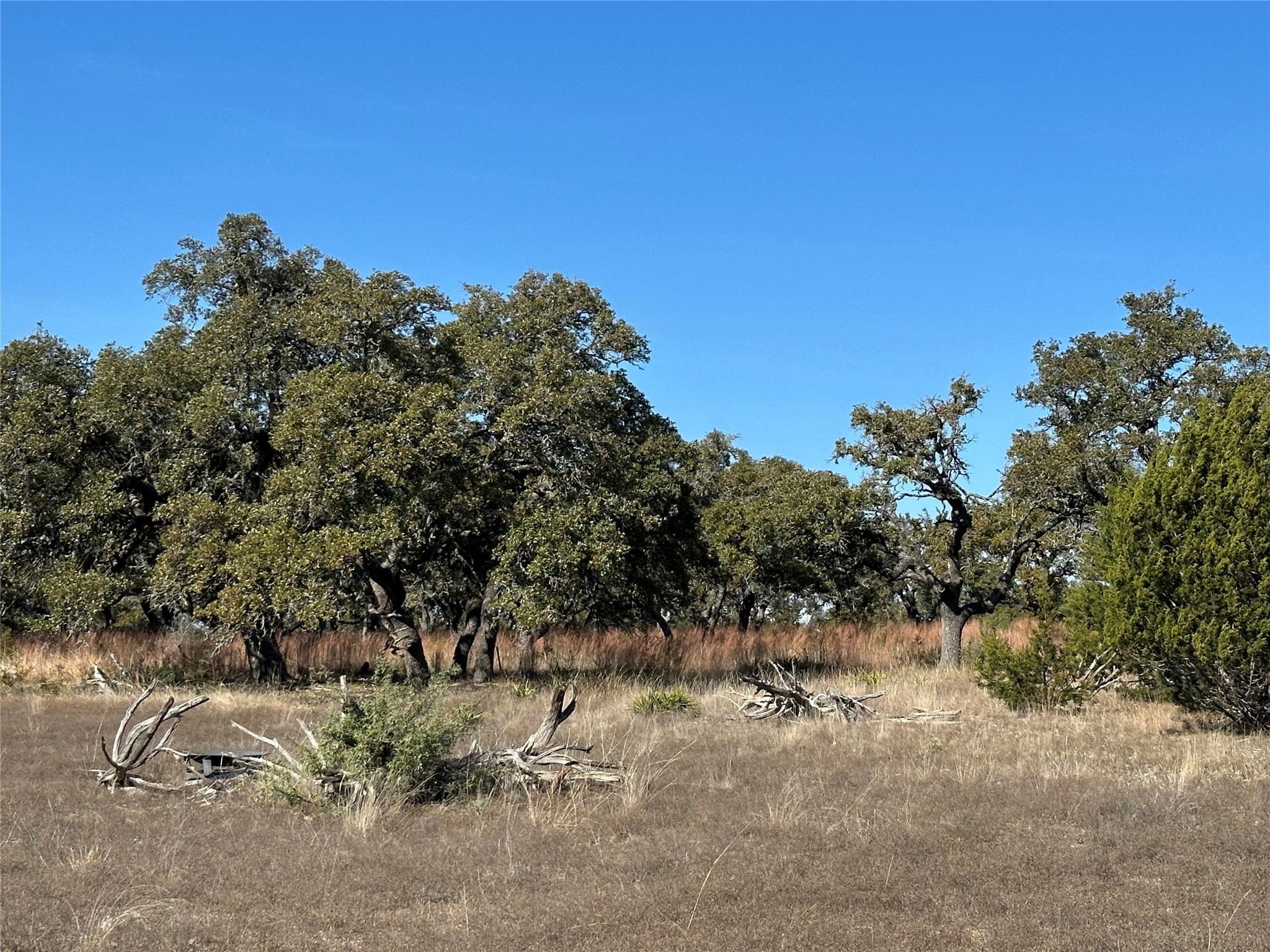 Lot 186 Blackbuck Ridge Drive Lampasas TX 76550