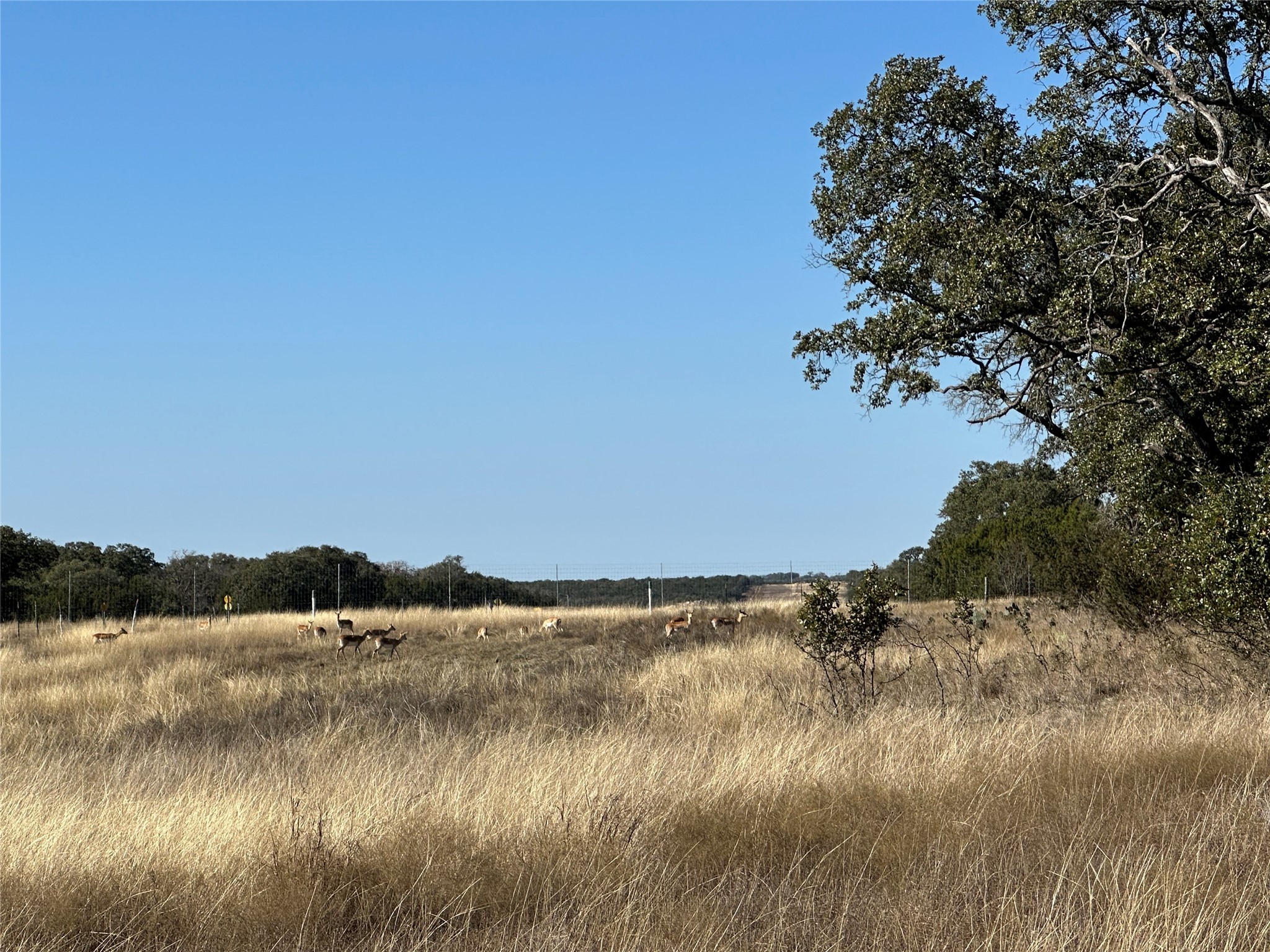 Lot 186 Blackbuck Ridge Drive Lampasas TX 76550