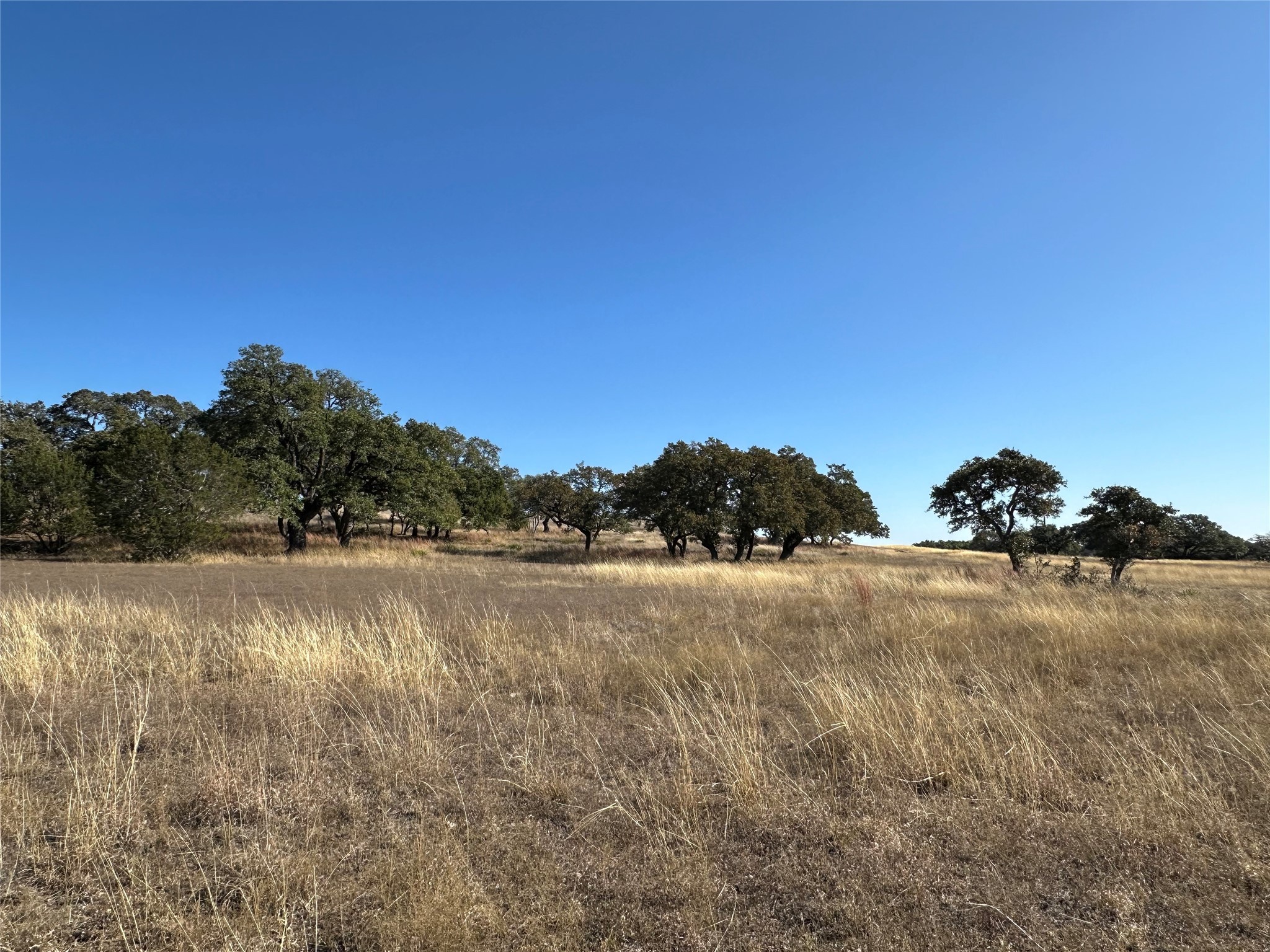 Lot 186 Blackbuck Ridge Drive Lampasas TX 76550