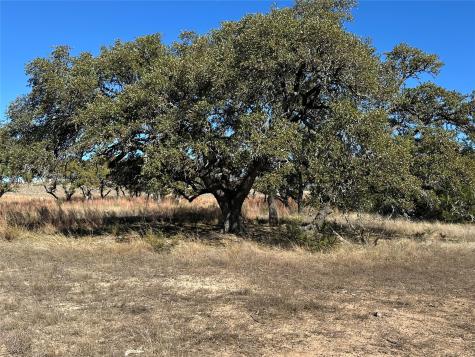 Lot 186 Blackbuck Ridge Drive Lampasas TX 76550
