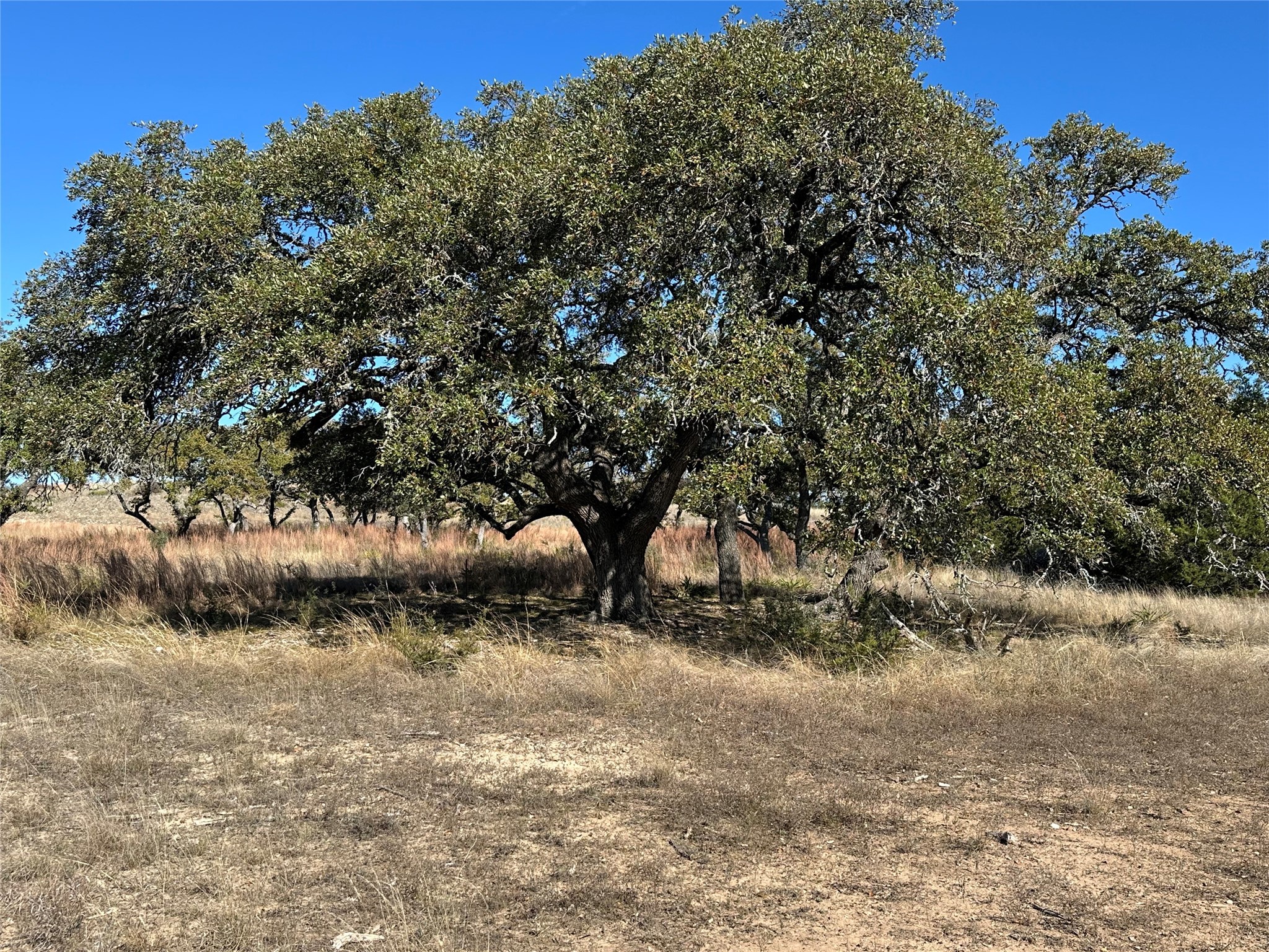 Lot 186 Blackbuck Ridge Drive Lampasas TX 76550