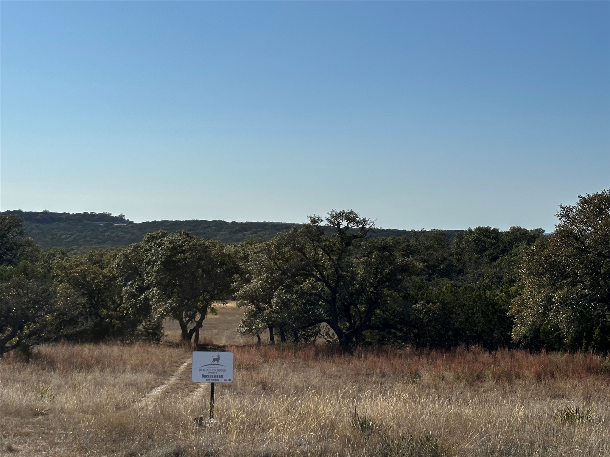 Lot 186 Blackbuck Ridge Drive Lampasas TX 76550