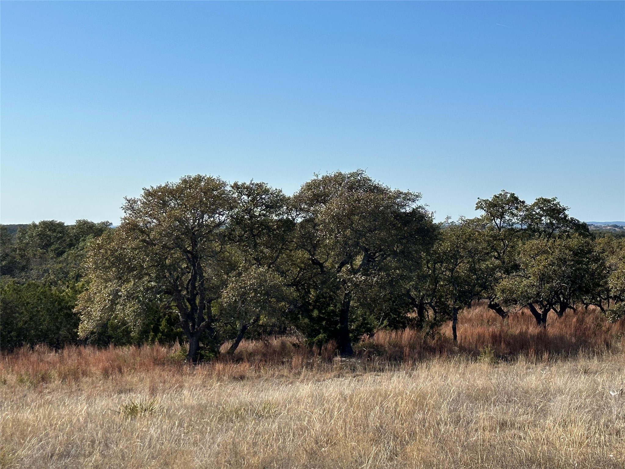 Lot 186 Blackbuck Ridge Drive Lampasas TX 76550