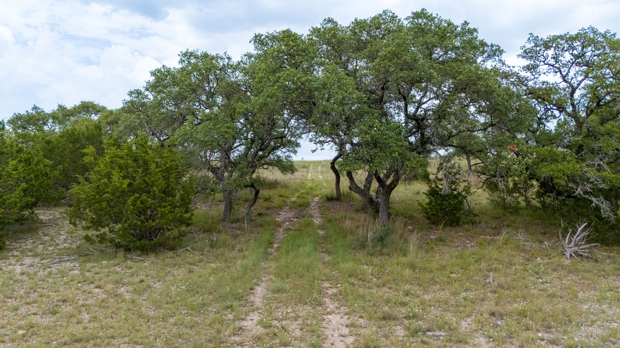 Lot 186 Blackbuck Ridge Drive Lampasas TX 76550