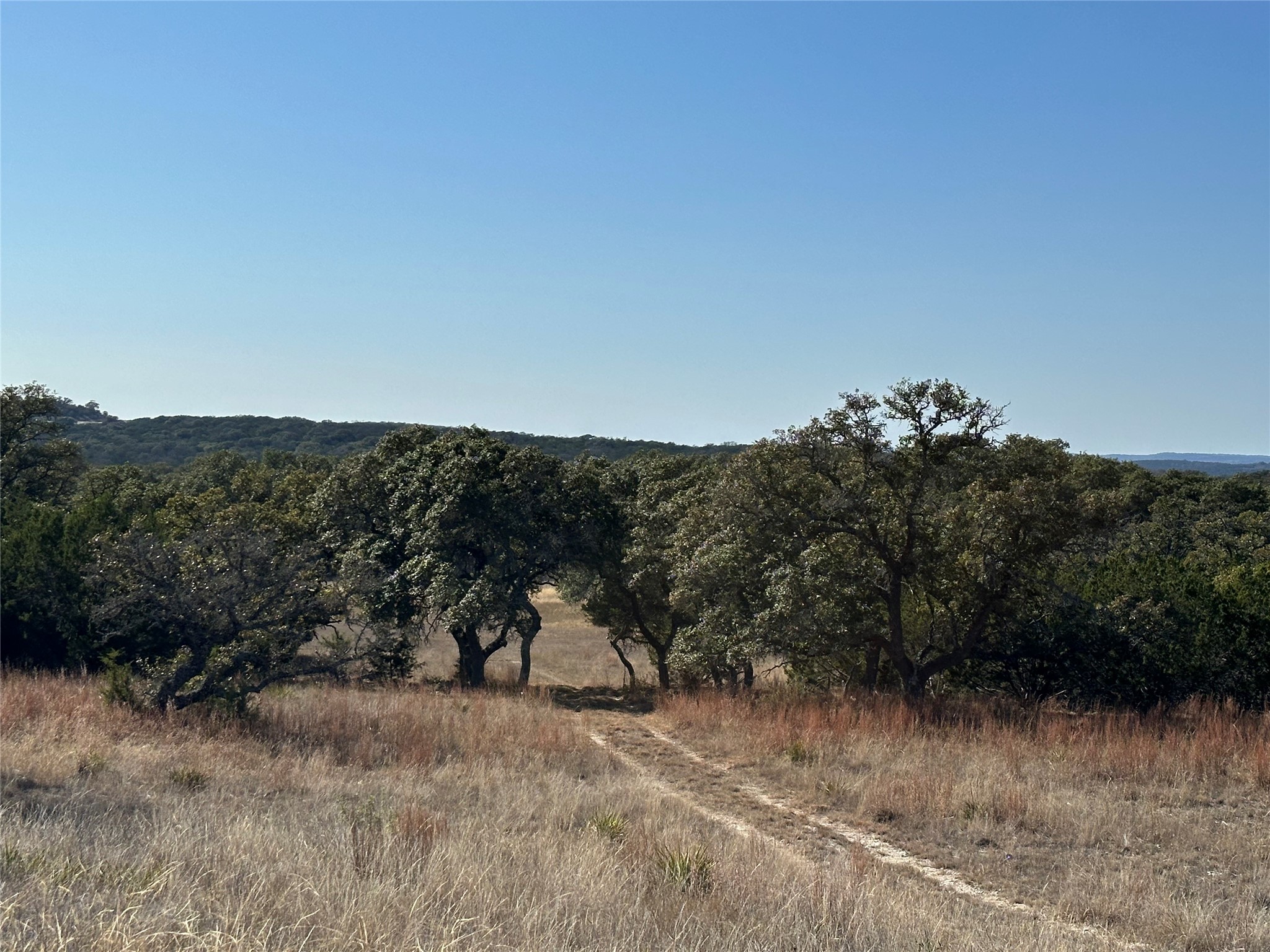 Lot 186 Blackbuck Ridge Drive Lampasas TX 76550