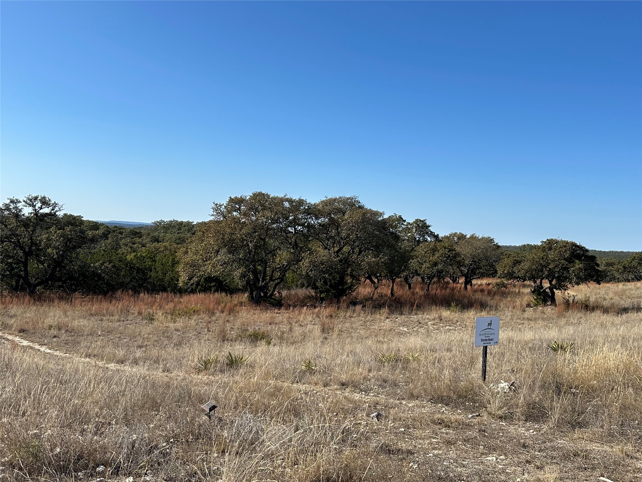 Lot 186 Blackbuck Ridge Drive Lampasas TX 76550