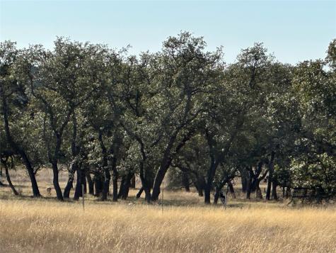 Lot 186 Blackbuck Ridge Drive Lampasas TX 76550