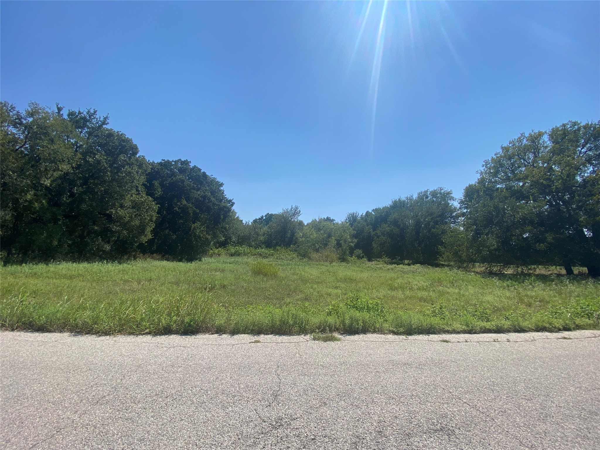 125 Heritage Springs Drive Brock TX 76087