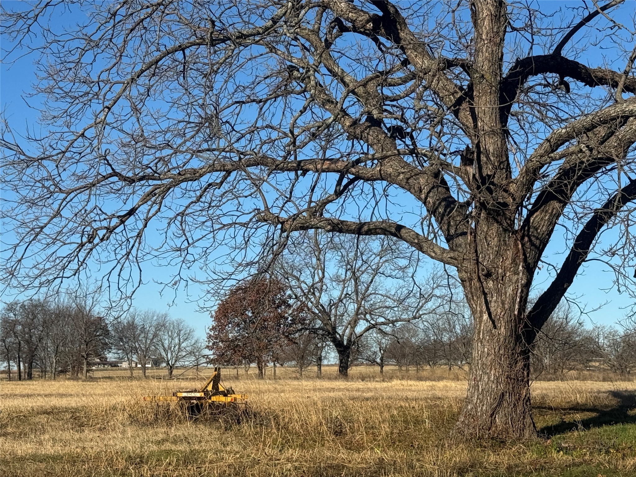 195 Smith Ranch Road Collinsville TX 76271