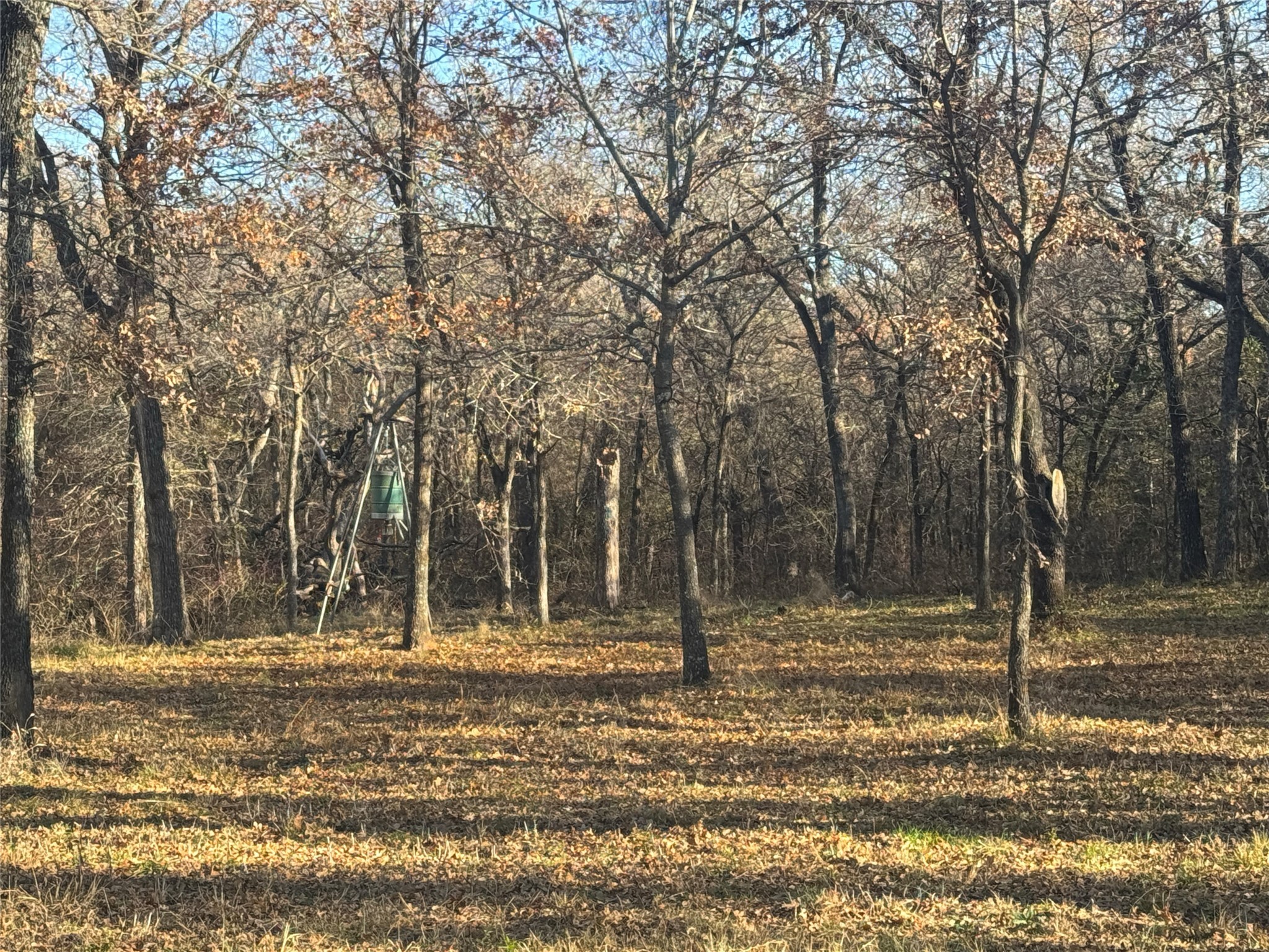 195 Smith Ranch Road Collinsville TX 76271