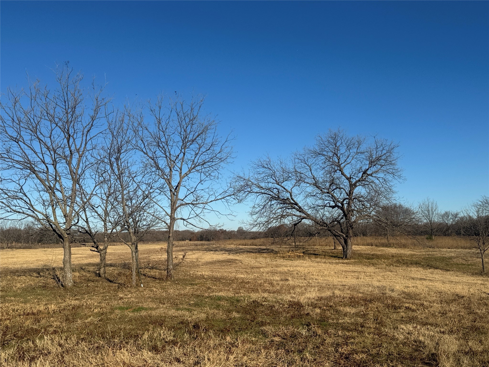 195 Smith Ranch Road Collinsville TX 76271
