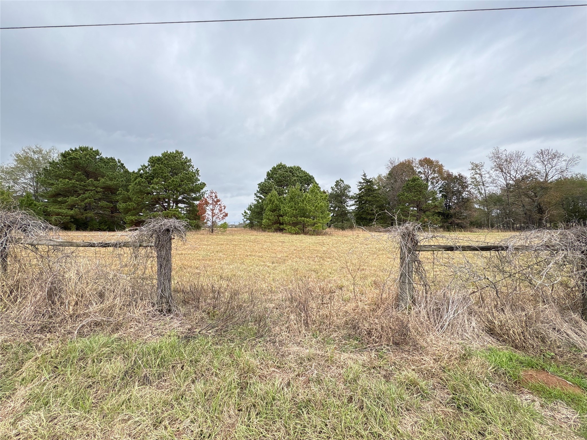 Tbd Cr 4301 Plainview Road Omaha TX 75571