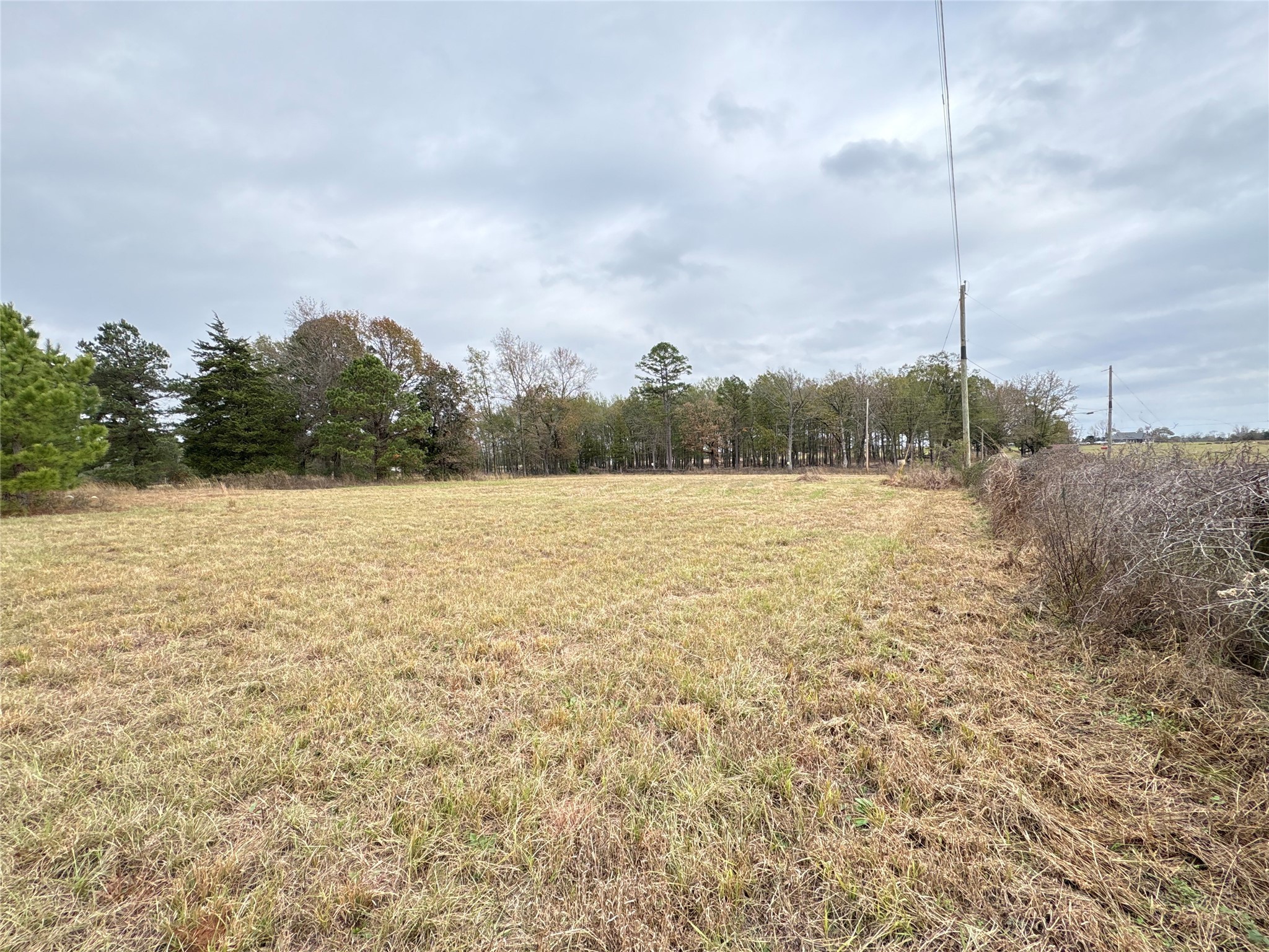 Tbd Cr 4301 Plainview Road Omaha TX 75571