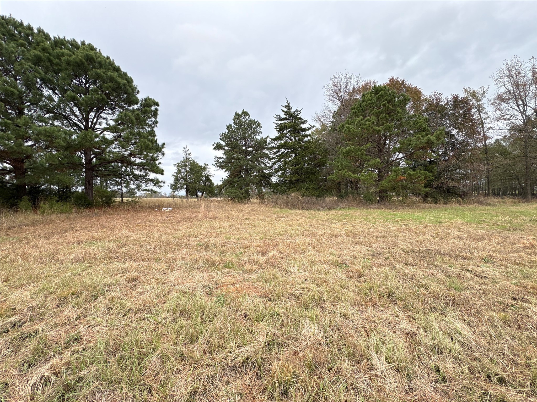 Tbd Cr 4301 Plainview Road Omaha TX 75571