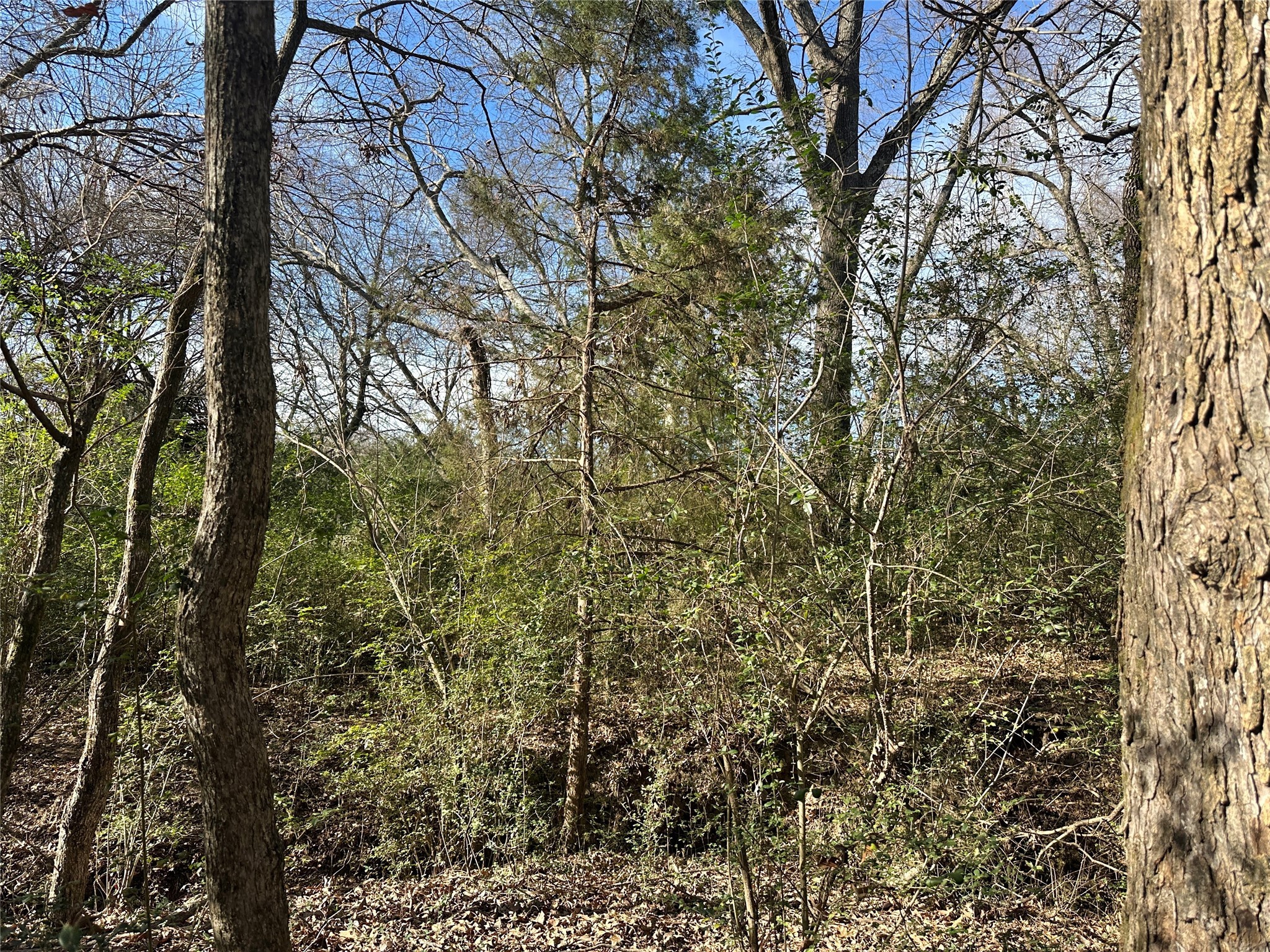 0000 County Road 2324 Como TX 75431