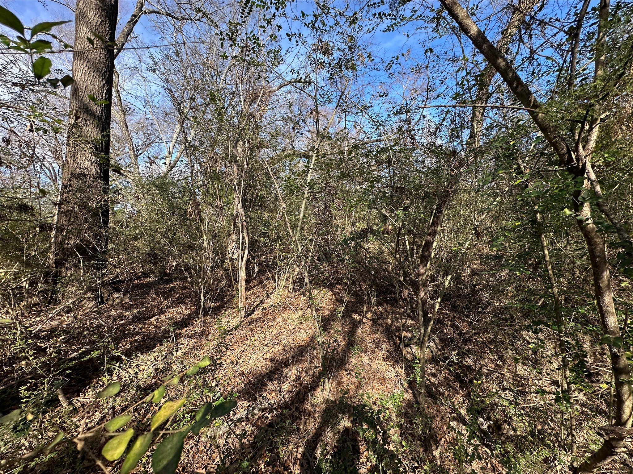 0000 County Road 2324 Como TX 75431