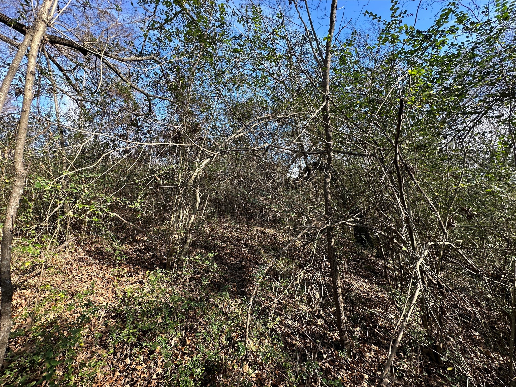 0000 County Road 2324 Como TX 75431