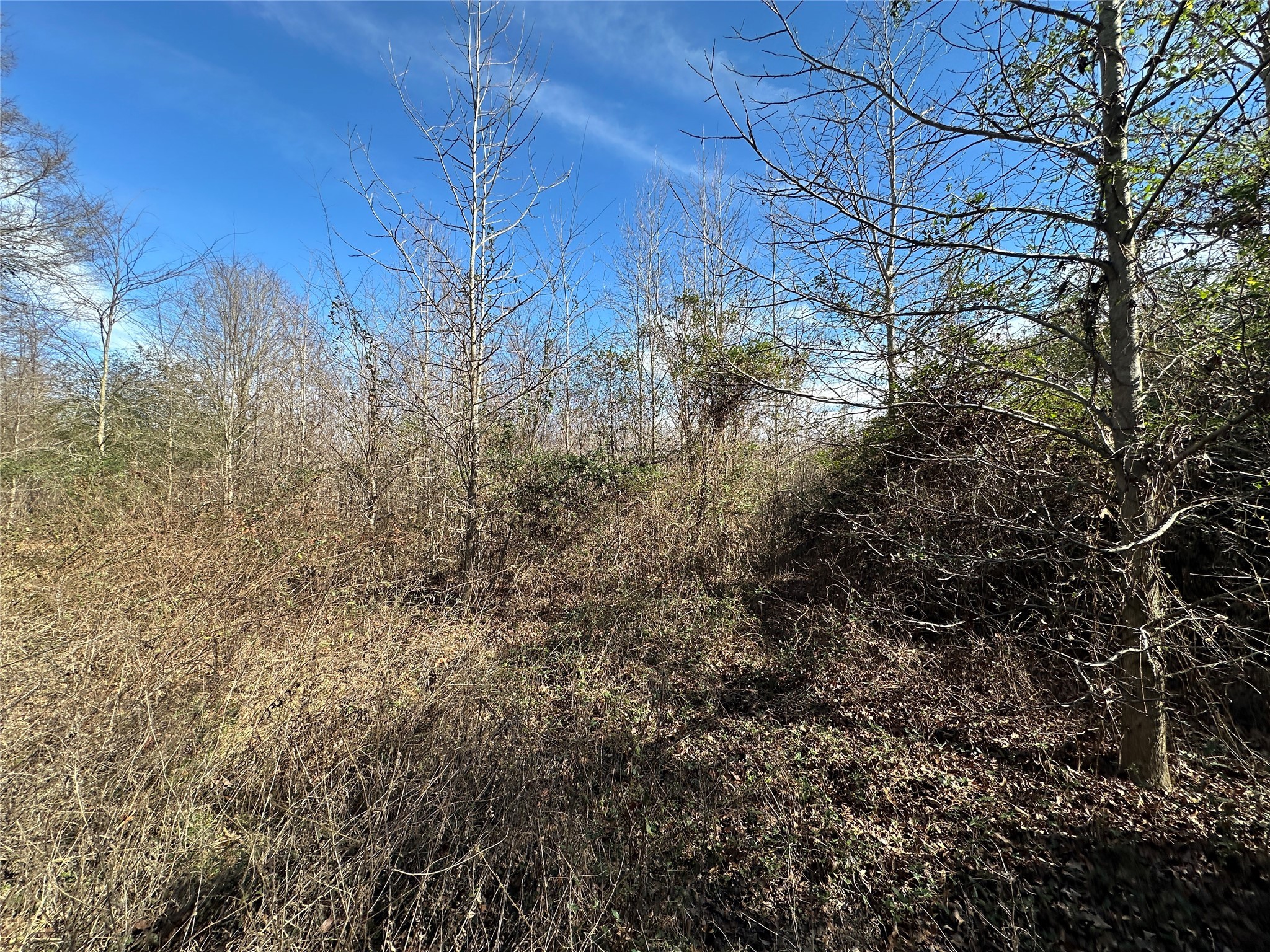 0000 County Road 2324 Como TX 75431