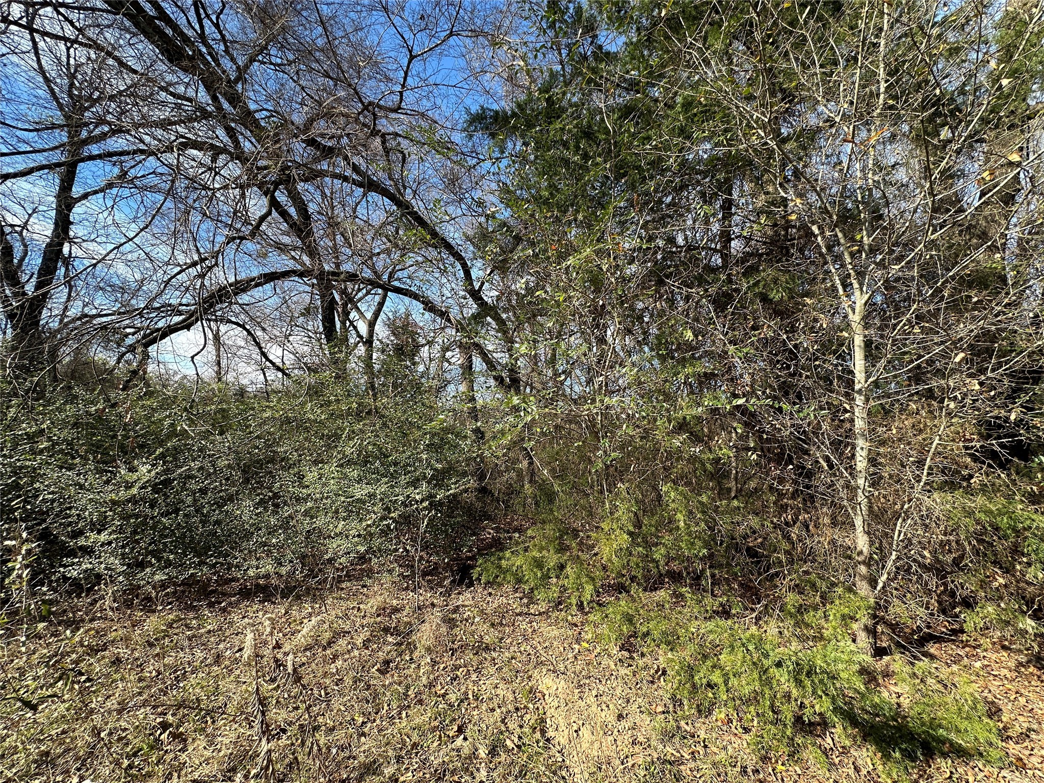 0000 County Road 2324 Como TX 75431