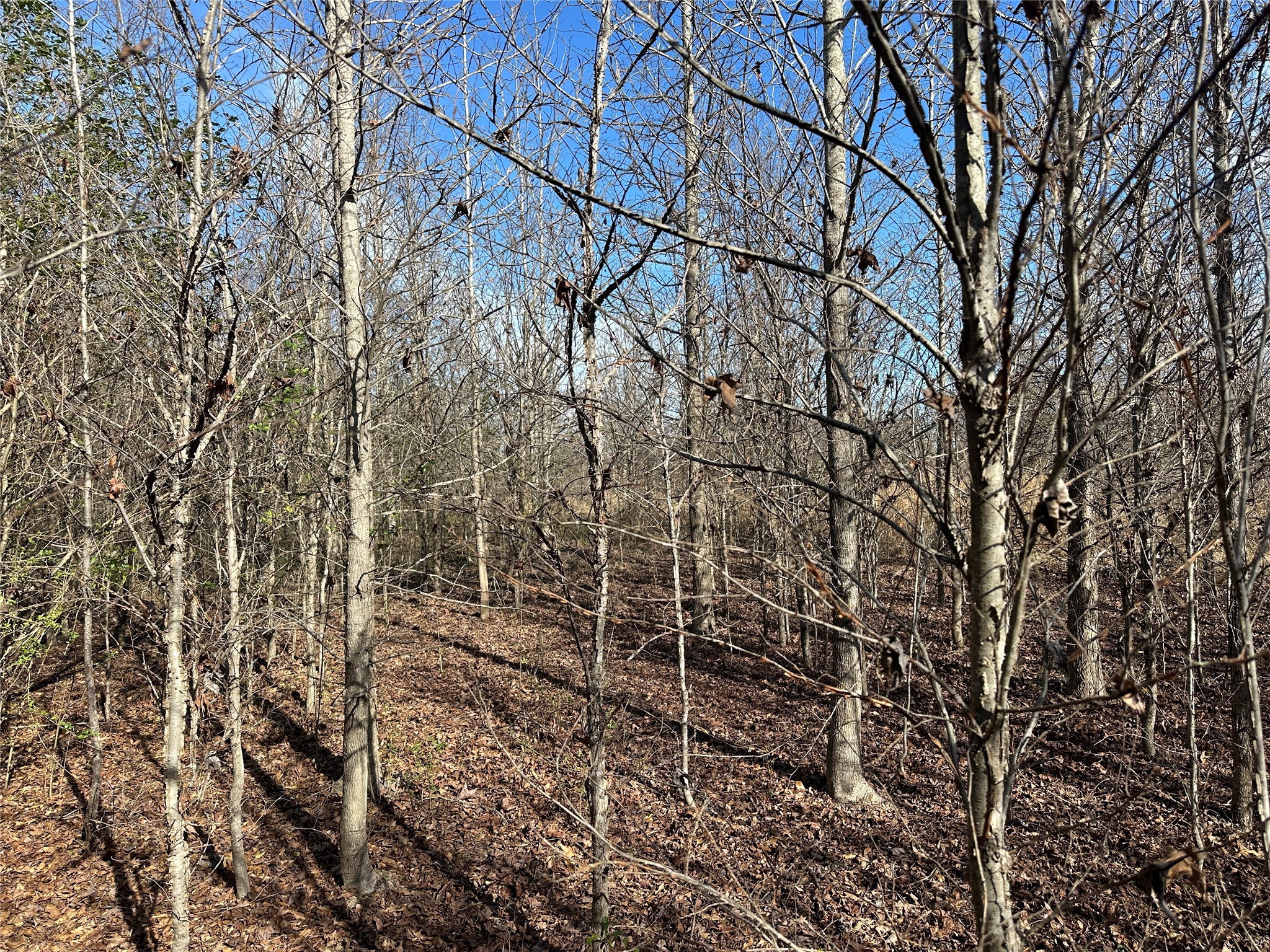 0000 County Road 2324 Como TX 75431