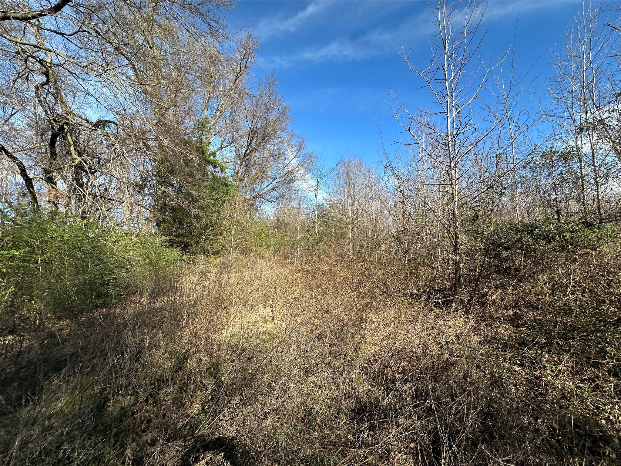 0000 County Road 2324 Como TX 75431