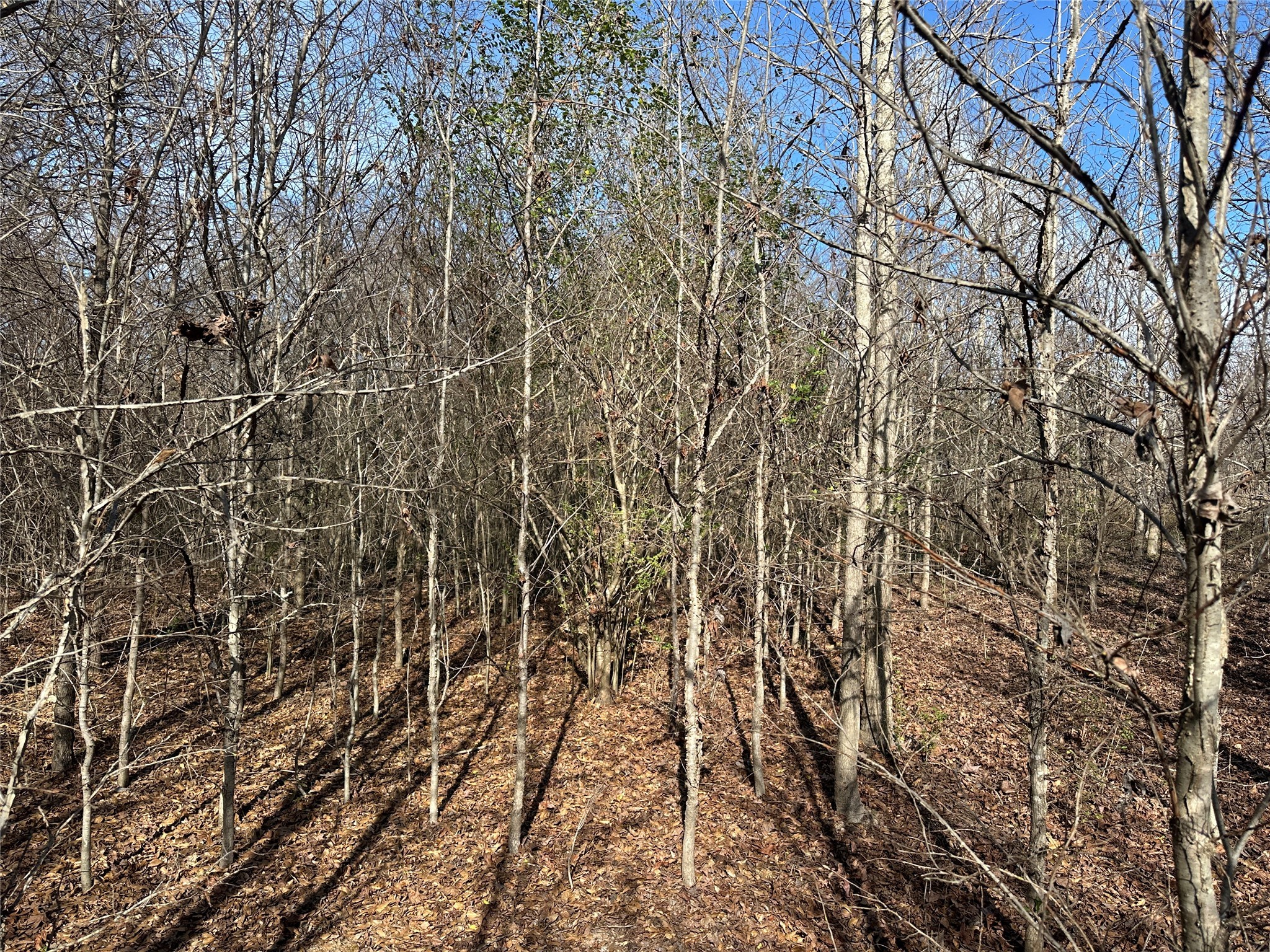 0000 County Road 2324 Como TX 75431