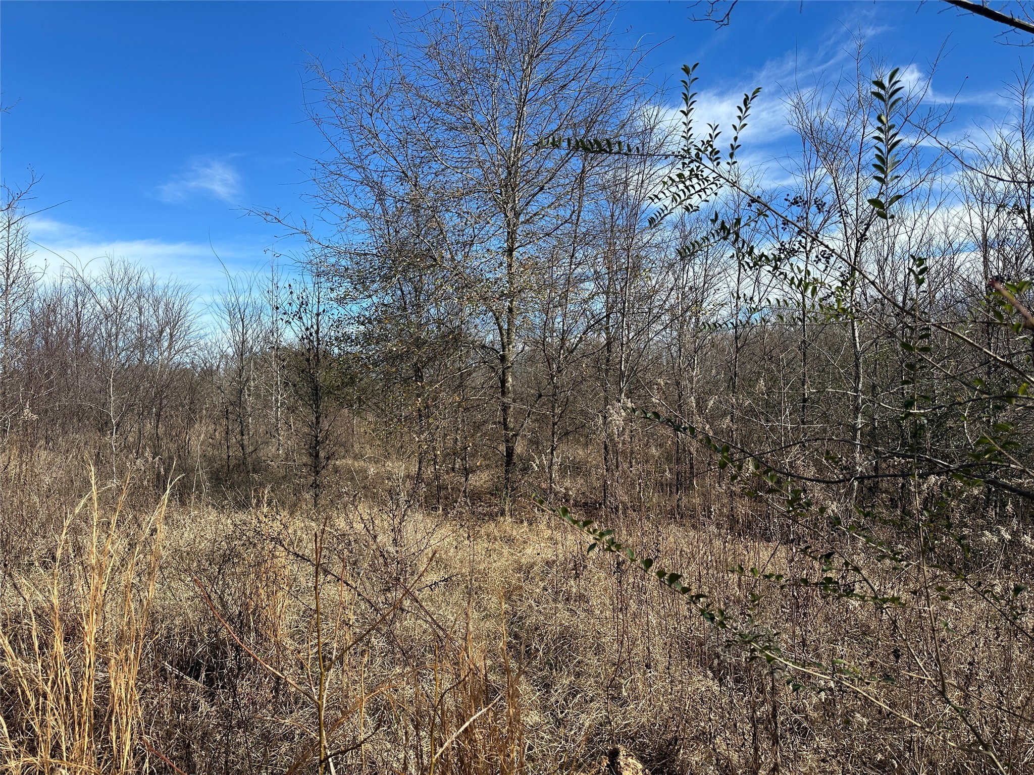0000 County Road 2324 Como TX 75431