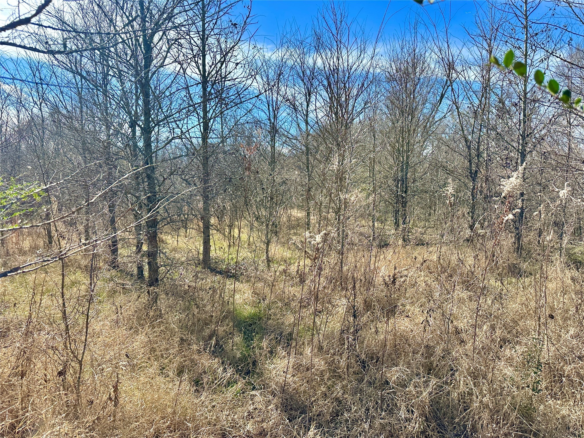 0000 County Road 2324 Como TX 75431