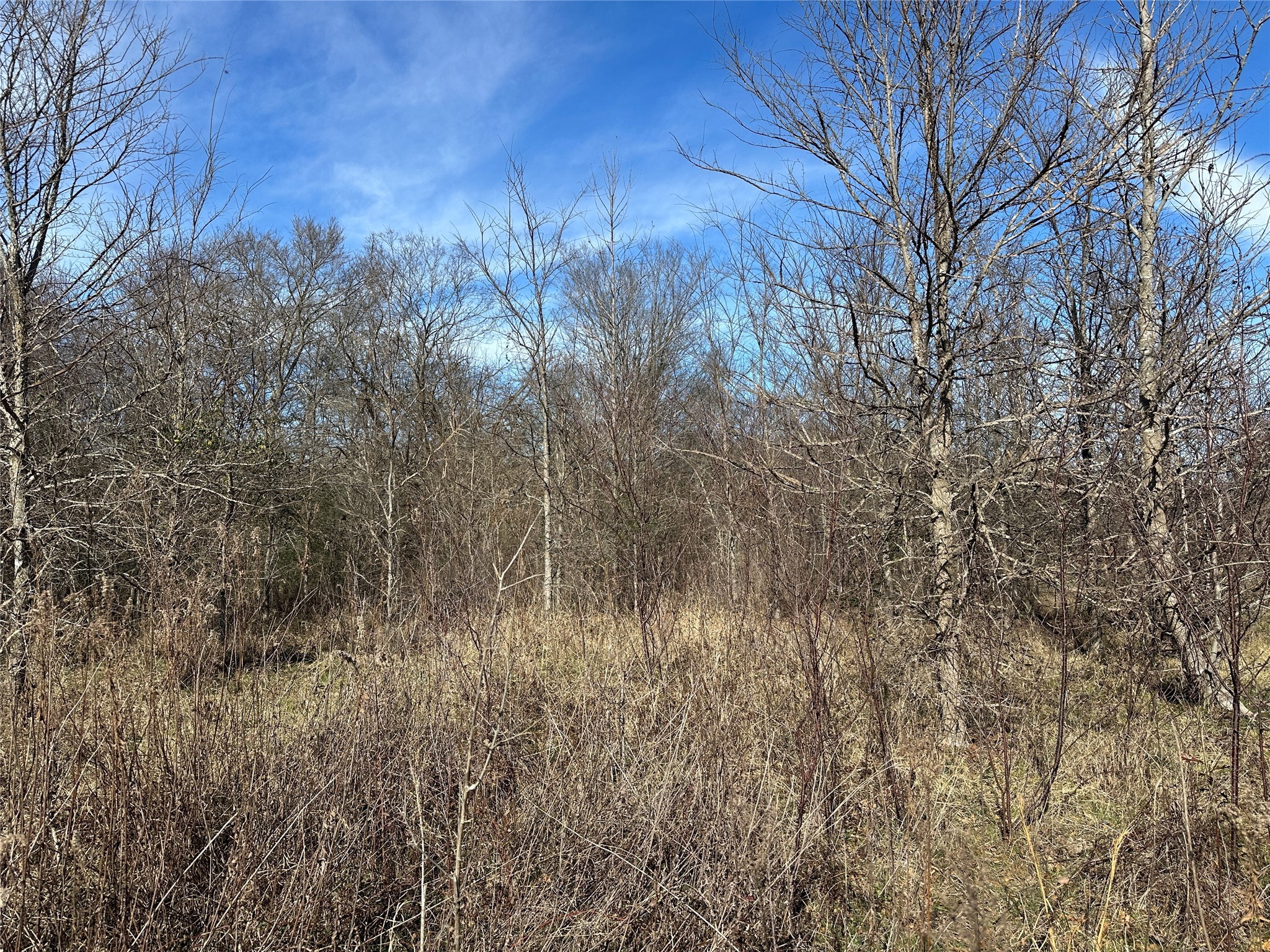0000 County Road 2324 Como TX 75431