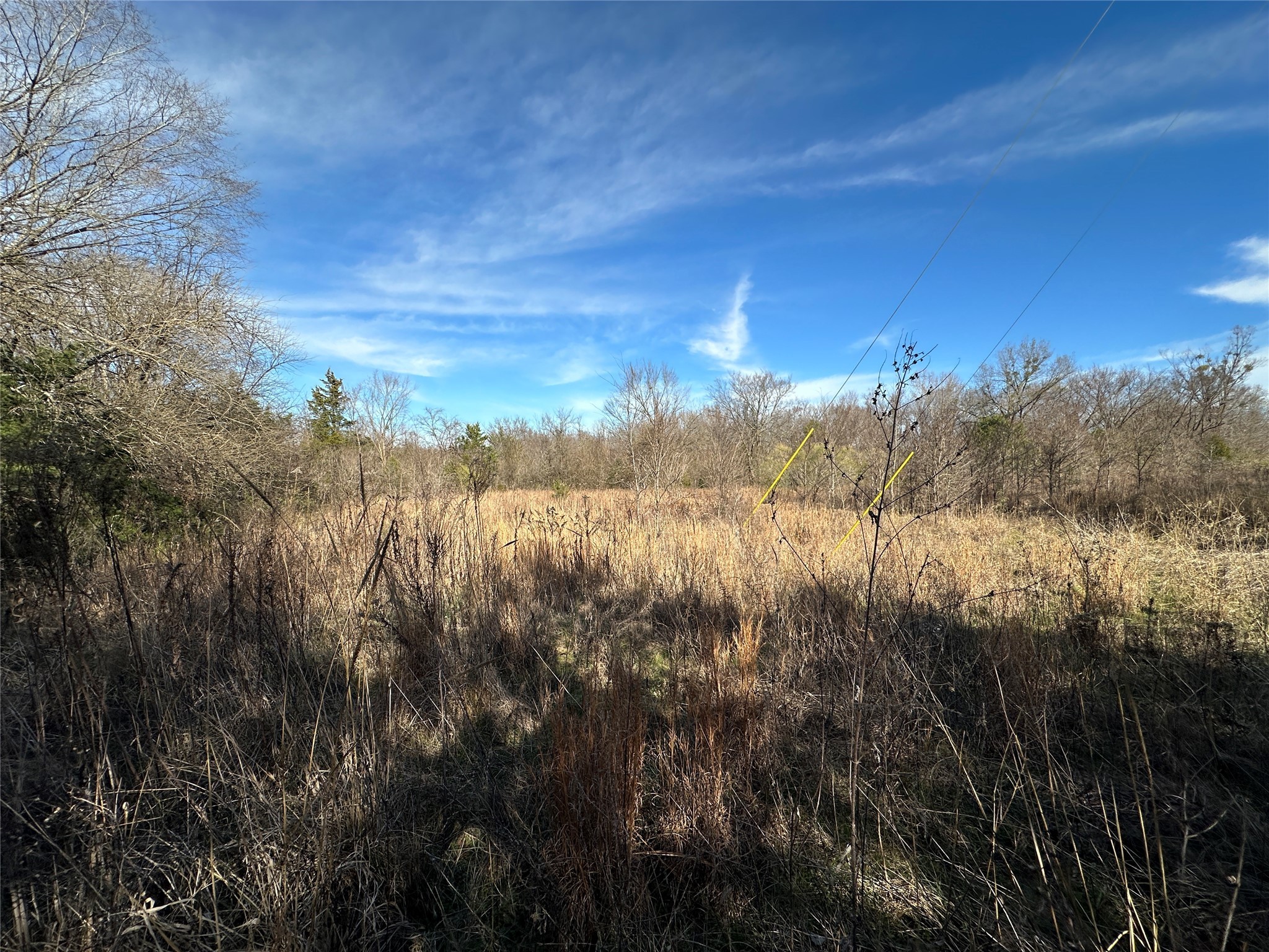 0000 County Road 2324 Como TX 75431