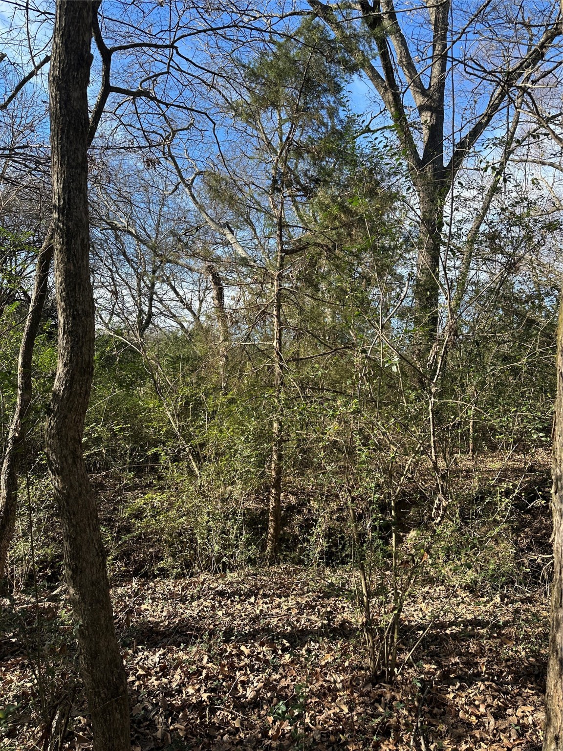 0000 County Road 2324 Como TX 75431