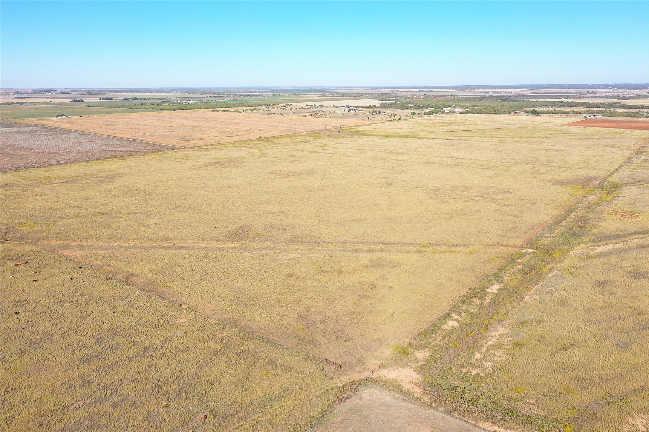 160 Acres Tbd County Road 428 Hawley TX 79525