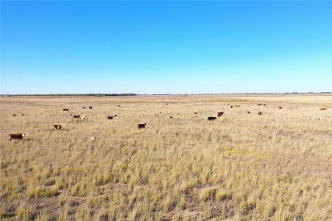 160 Acres Tbd County Road 428 Hawley TX 79525