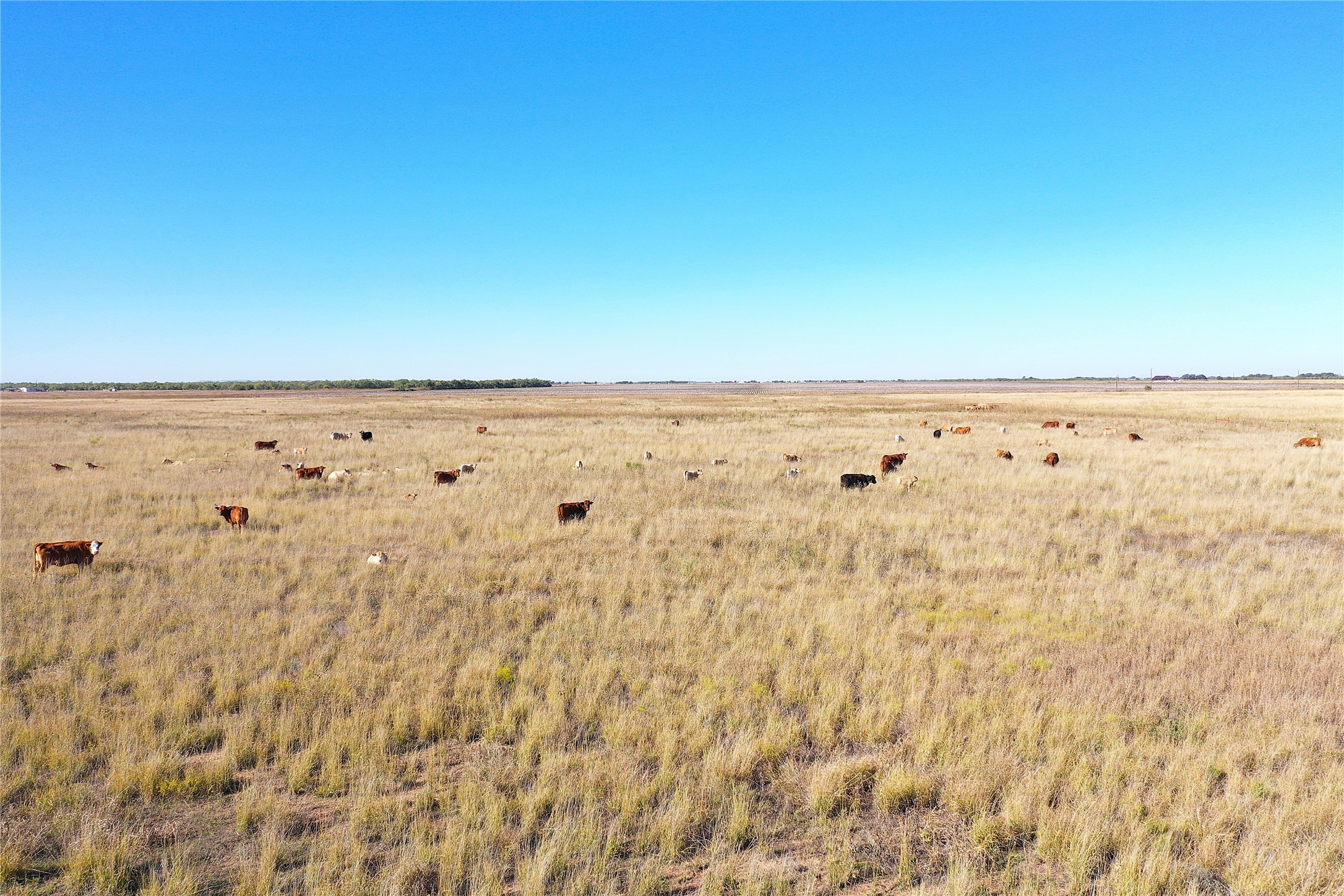 160 Acres Tbd County Road 428 Hawley TX 79525