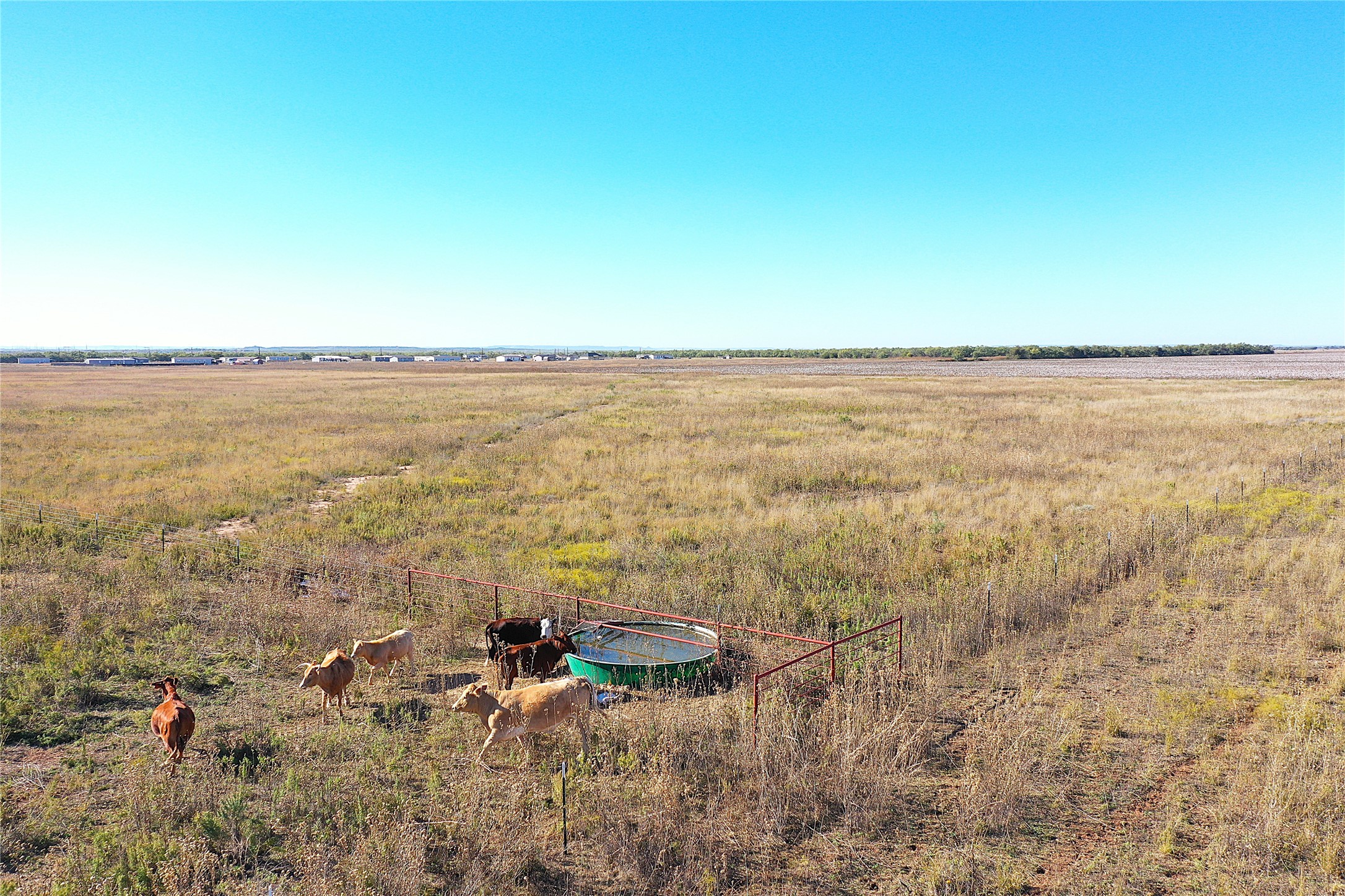 160 Acres Tbd County Road 428 Hawley TX 79525